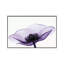 Anemone II - Print on Canvas-101342010-113646099