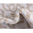 Whitting Oriental Indoor Rug-1183272208