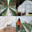 Greenhouse Shade Cloth and Cover-79636710