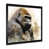 Black Single Picture Framed
