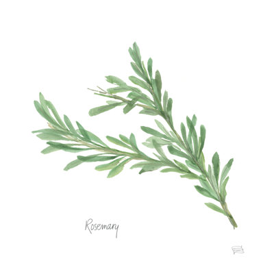 Rosemary V2