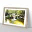 Forest Stream Vol.2 - Framed Print-62799213-62799217