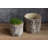 Caines Pot Planter-1488301709