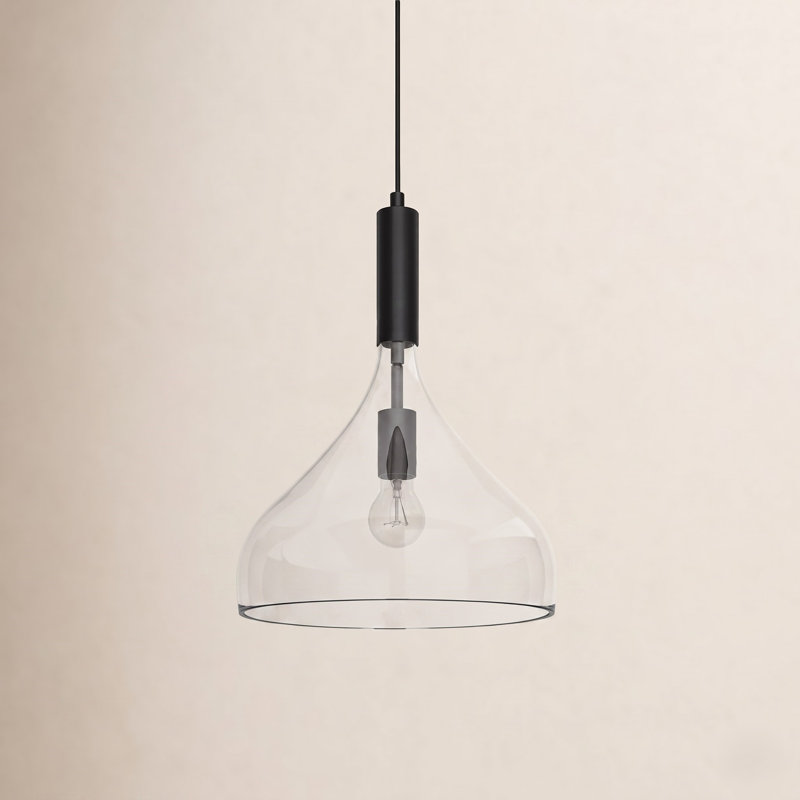 Rayden 1 - Light Single Pendant, Matte Black