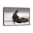 Brown Floater Framed
