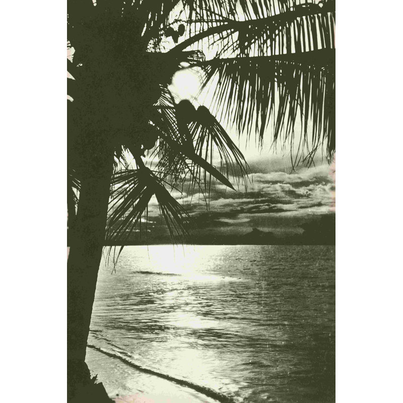 Palm Beach II - photographie sur toile tendue, Walnut Floater Framed Canvas, Non, H 18 po x l 12 po
