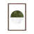 Classic Brown Wood Framed is unavailable