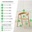 Arvey Solid Wood Dining Chairs - Mid Century Design & Responsibly Sourced-122910060