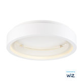 ICorona LED Flush Mount