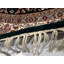 Kathrize Oriental Area Rug in Green