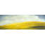 Hillock - Yellow Mountains, reproduction encadrée avec passe-partout | Décoration intérieure