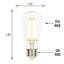 6,5 watts (équivalent à 60 watts) ampoule à DEL à intensité variable ST15 blanc chaud (2 200 K) E26 / culot moyen (standard)