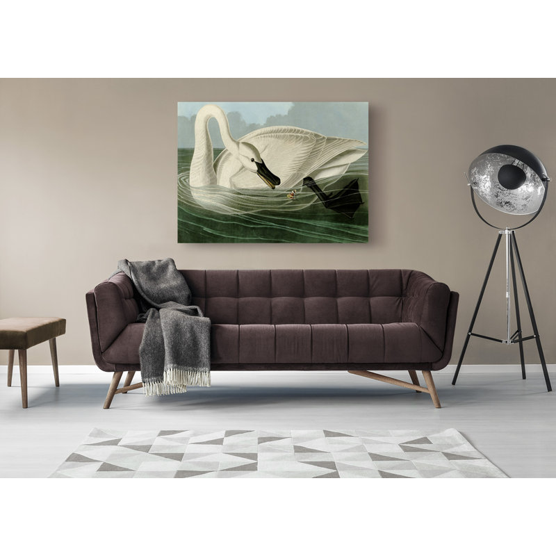 Trumpeter Swan by John Audubon - Wrapped Canvas Painting, 70cm H x 100cm W x 4cm D