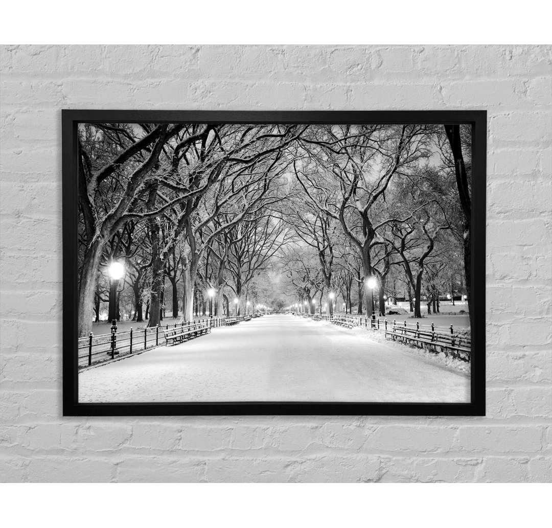 Winterspaziergang durch den Central Park - Einzelne Bilderrahmen Kunstdrucke auf Leinwand