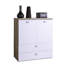 Globo 12 Pair Shoe Storage Cabinet