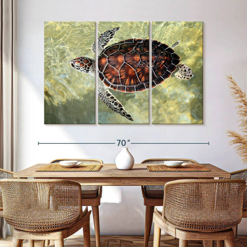 Tortue Bramman Cayman, H 42 po x l 65 po
