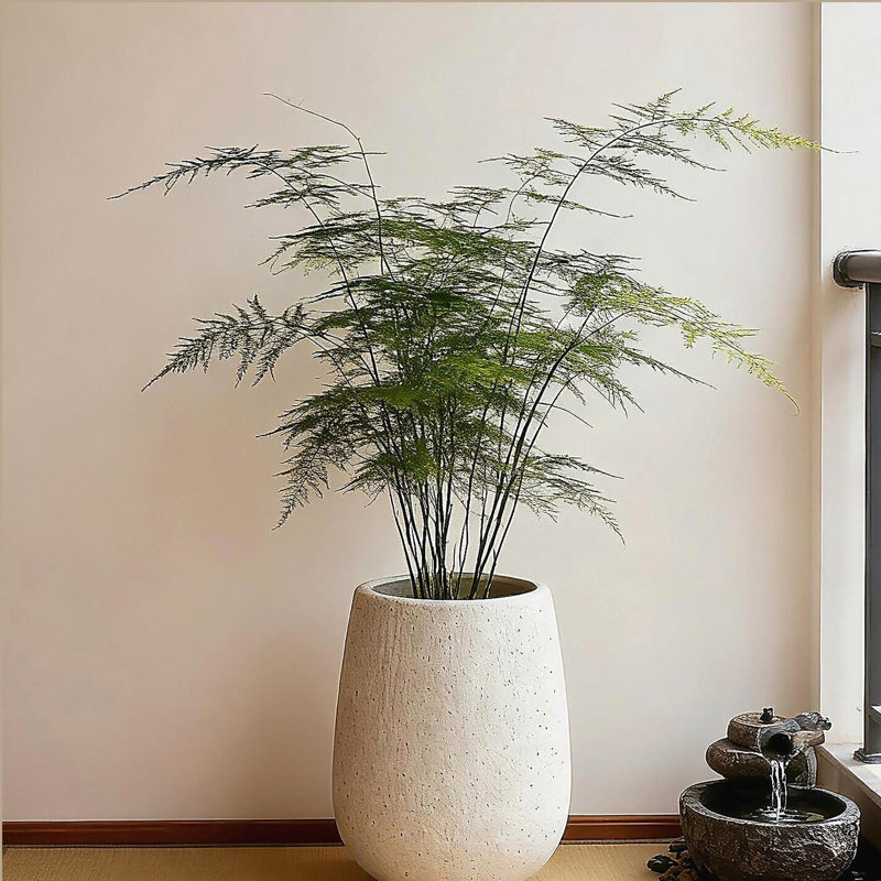 Grande jardinière ronde moderne 13,38 po de diamètre avec trous de drainage, oxyde de magnésium et ciment Sierra