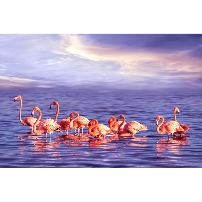 A Flock Of Pink Flamingos by Delbars - Wrapped Canvas Print, 30cm H x 46cm W