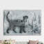 « cat prance », reproduction d’art sur toile tendue-21042630