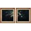 «Dark Romantic Garden Roses», ensemble de 2 reproductions d'art sur papier encadrées-555772710-555772711