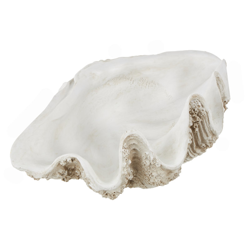 Cole And Grey Polystone Large Textured Shell Decorative White Sculpture