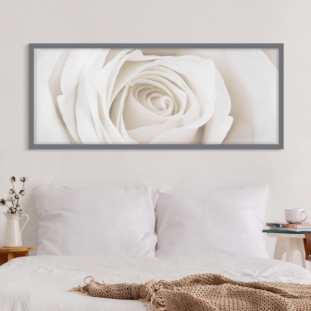 Gerahmtes Poster Pretty White Rose