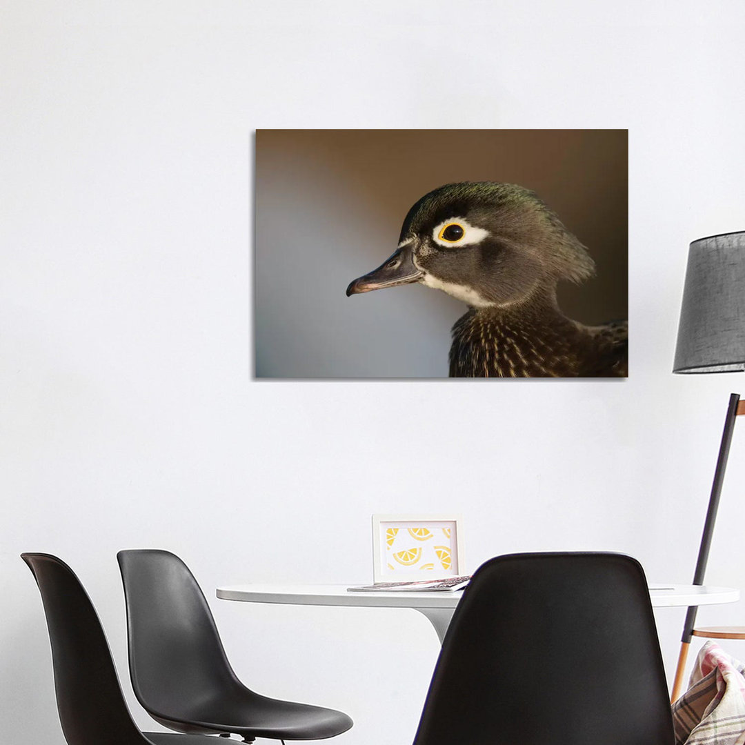 Wood Duck Female, Close-Up Of Head. von Richard Wright - Gallery-Wrapped Canvas Giclée on Canvas