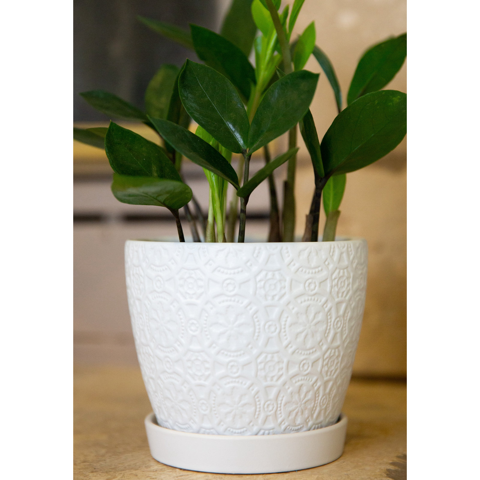 Ceramic Pot Planter, 5.8"H x 5.8"W x 5"D