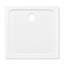 Standard Shower Tray-20359598-20359596