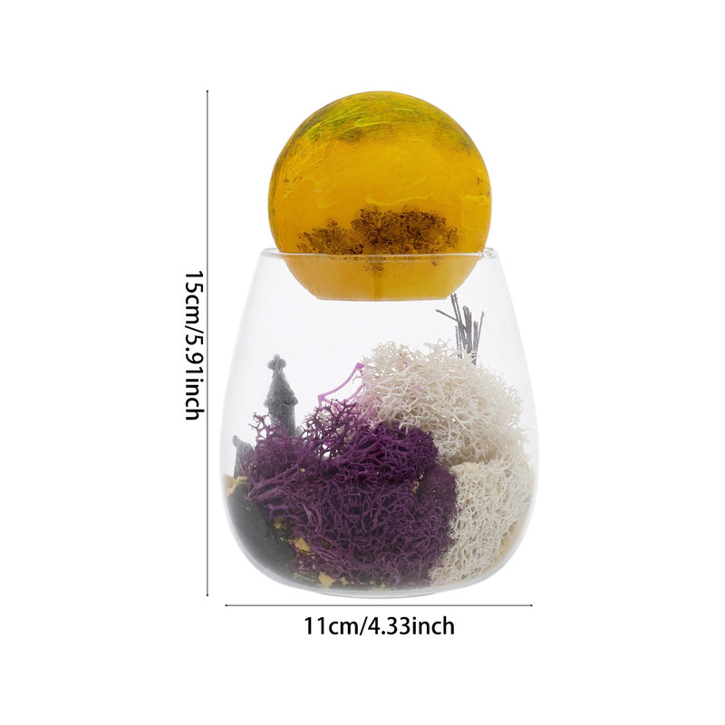 Halloween DIY Terrarium Kit for Kids with LED Moon Lamp