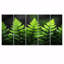 Ensemble de reproductions d'art murales vertes et noires, "Nirvana Ferns I" - fougères-670665911