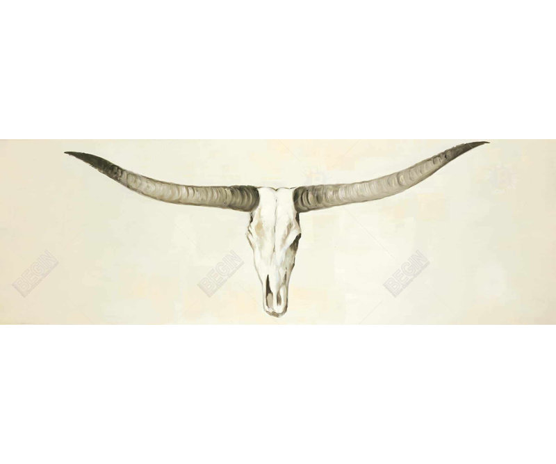 " Longhorn Cattle Skull "