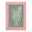Ferns On Sage IV, reproduction d'art encadrée-1397880087-1397880082