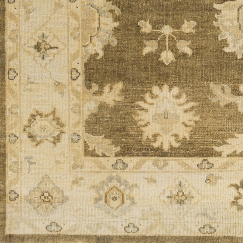 Moline Wool Oriental Indoor Rug, Rectangle 2' x 3'