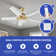 Rahaf Ceiling Fan with LED Lights
