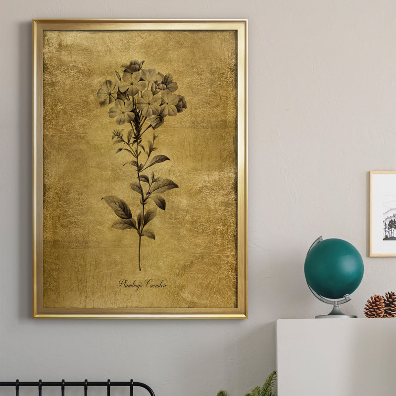 Ameelya, croquis dorés botaniques II, impression sur toile encadrée, H 26,5 po x l 36,5 po x P 1,5 po, Or