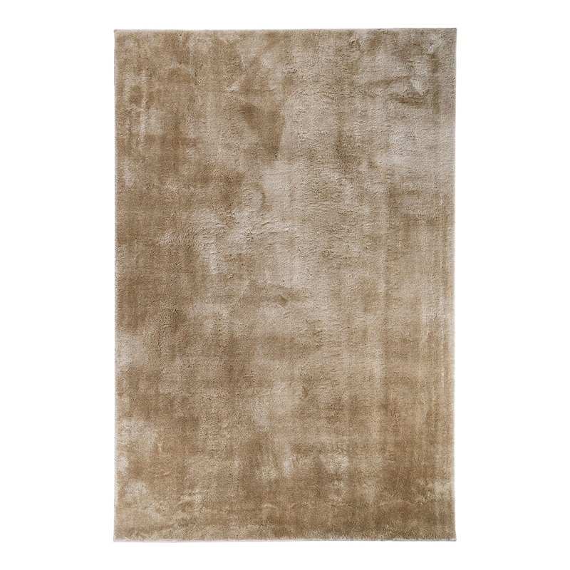 Isanotski Solid Colour Area Rug, Rectangle 200 x 300 cm
