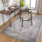 Aoi Chenille Oriental Indoor Rug-767377295