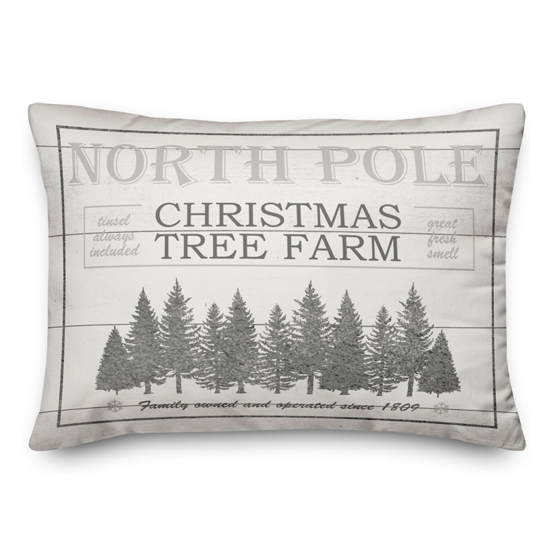  Housse de coussin rectangulaire et insert