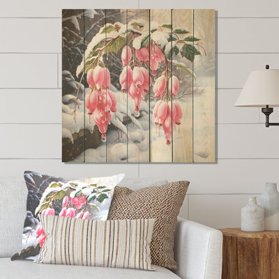 Fuchsia rose en fleurs en hiver - Fuschia sur bois