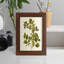 Olive Greenery VII, reproduction d'art encadrée-181904490-181904509