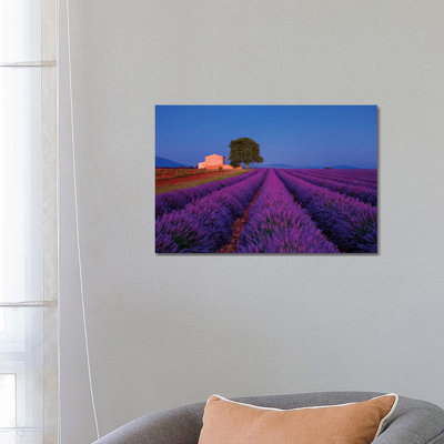 France, Provence. Lavender Field In The Valensole Plateau. by Jaynes Gallery - Wrapped Canvas Print