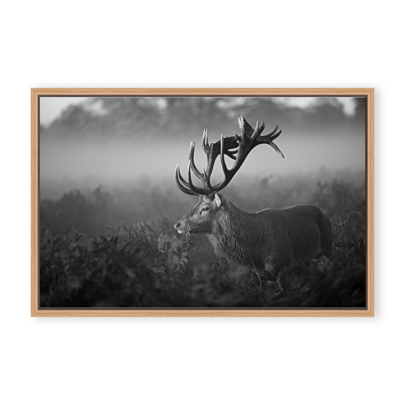 Nature Inspired Sunny Morning by  - Picture Frame Photograph on Paper, 32" H x 48" W x 1.125" D, Framed Matted Print, Black