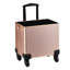 Faux Leather Makeup Organizer