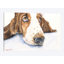 « basset v », impression sur toile-32498920-72121690-72121696