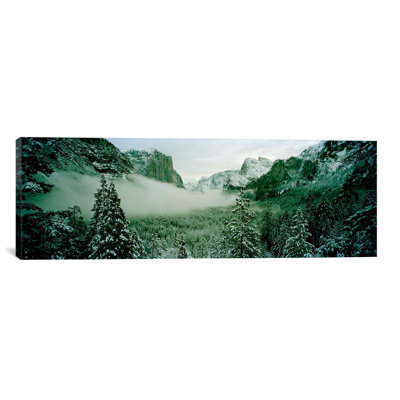 " Trees In A Forest, Yosemite National Park, Mariposa County, California, USA " by Panoramic Images