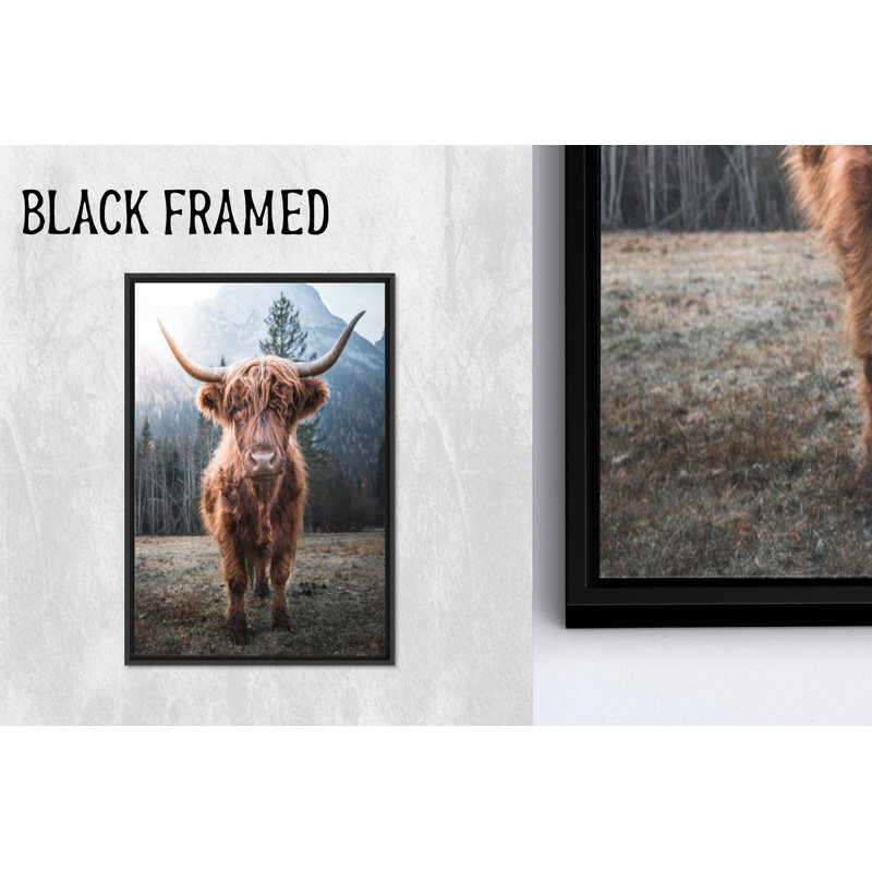 Art mural en verre Highland Cow: toile imprimée, décor de loft de campagne, 31,6 po H x 23,7 po l