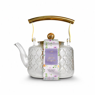 Fairmont Park 1000 mL Stovetop Safe Glass Geometric Teapot For
