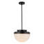 Luminaire suspendu 13 po noir avec verre opale-129638092