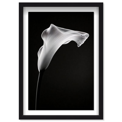 Calla Lily II Print by Oliver Gal